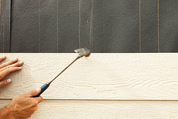 Best Engineered Wood Siding  in Tipton, IN